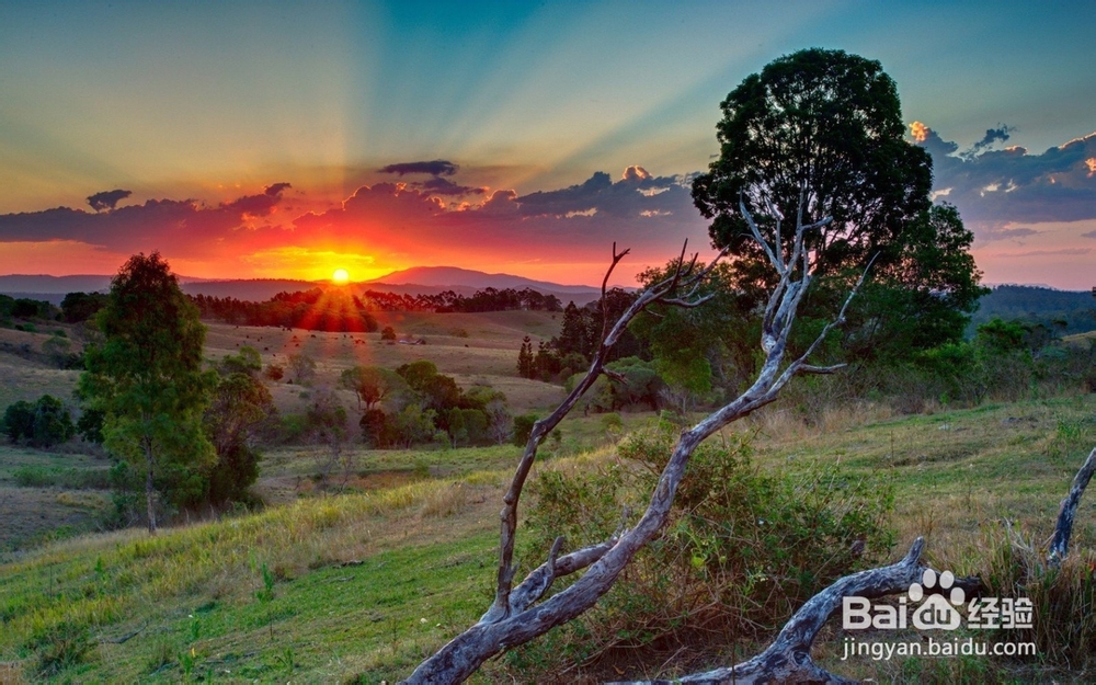 人在落魄时，才知道谁的手最暖！