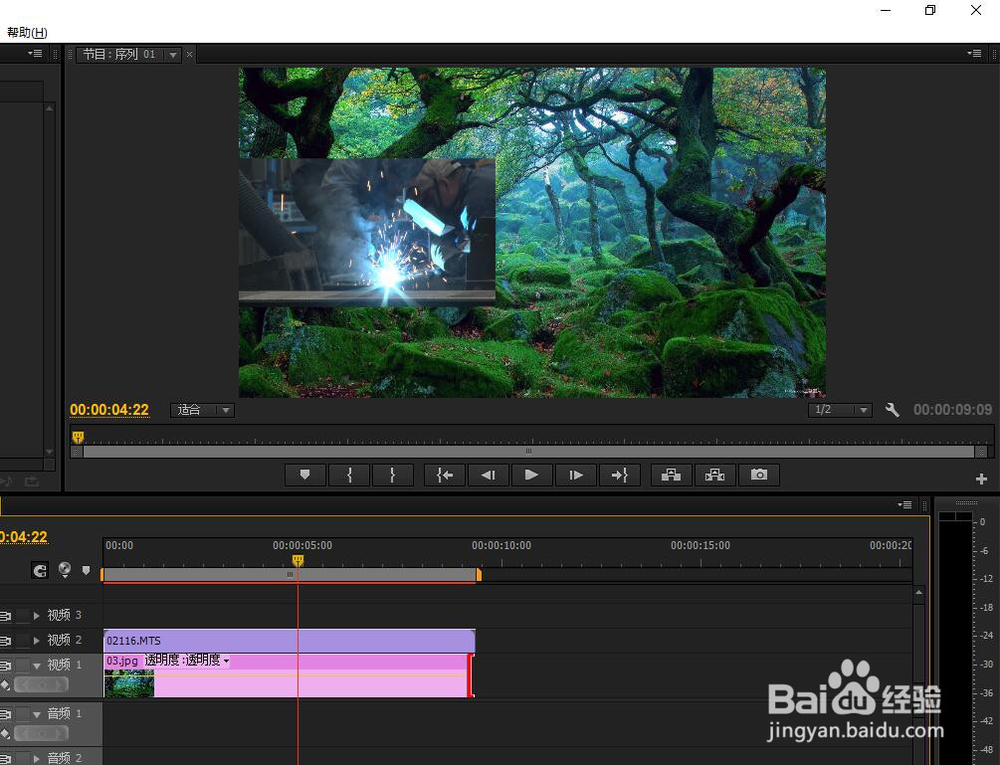 pr怎么调整视频画面大小