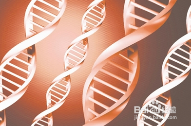 引发子宫腺肌症的原因