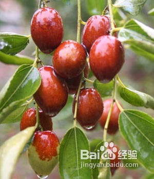 让皮肤美白的三点生活习惯