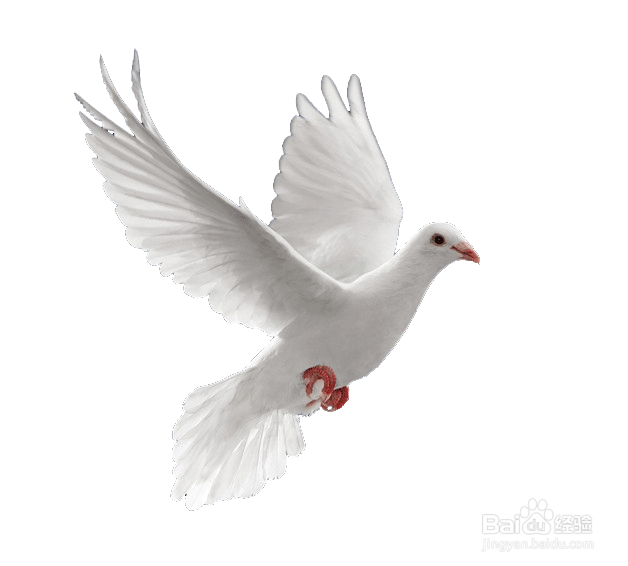 PS中的七种快速抠图方法