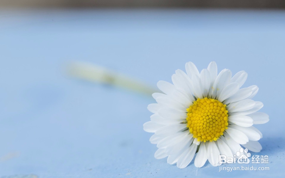 如何辨别你喜欢的他是否也正好喜欢你