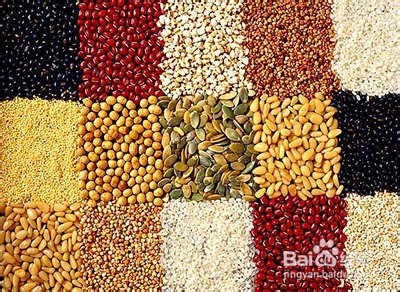 怎么提高免疫力?