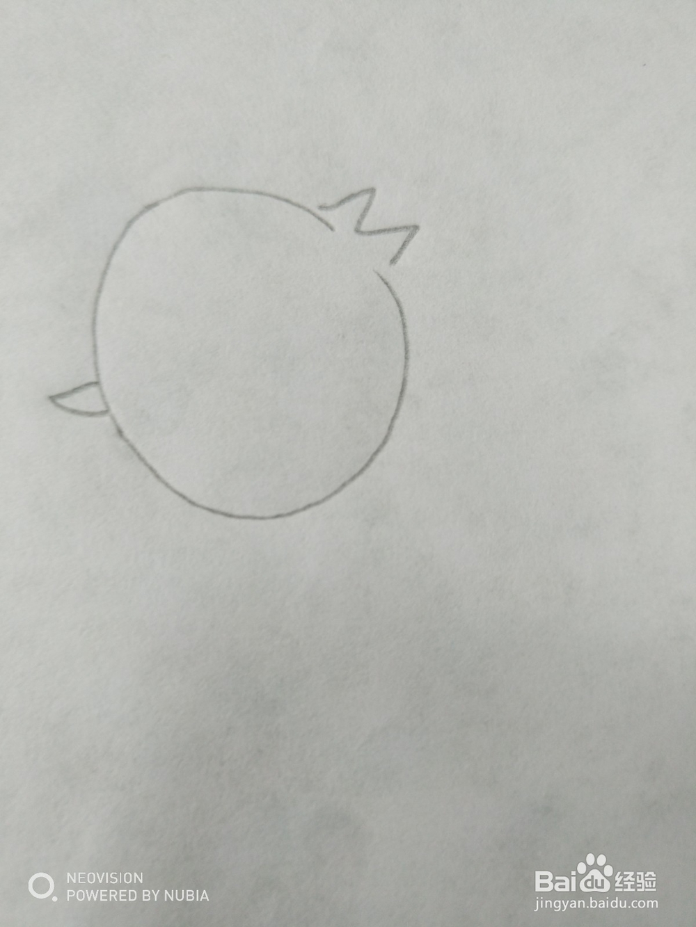 简单可爱的小鸟怎么画（四）