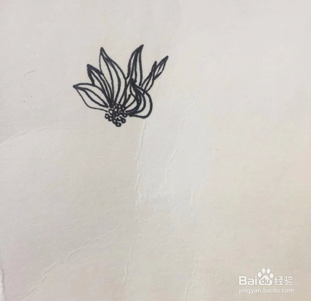 茉莉手绘之花瓶里的鲜花