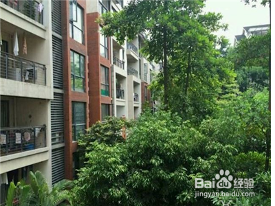 客厅光线不好怎么办