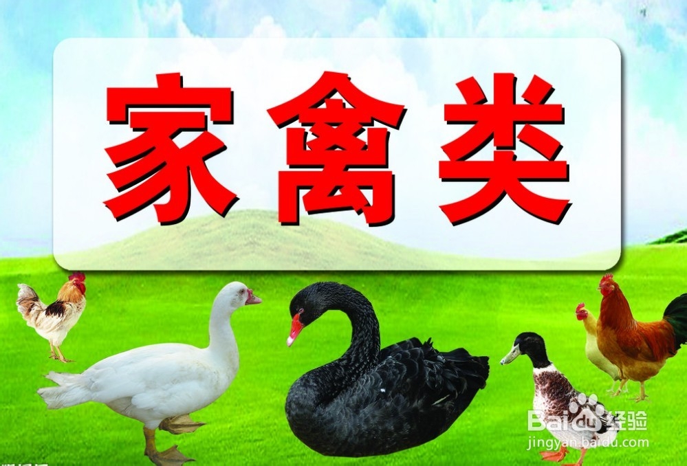 如何预防H7N9
