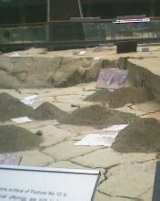 太阳神鸟——金沙遗址游览