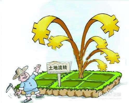 成立村级经济股份合作社有哪些好处?