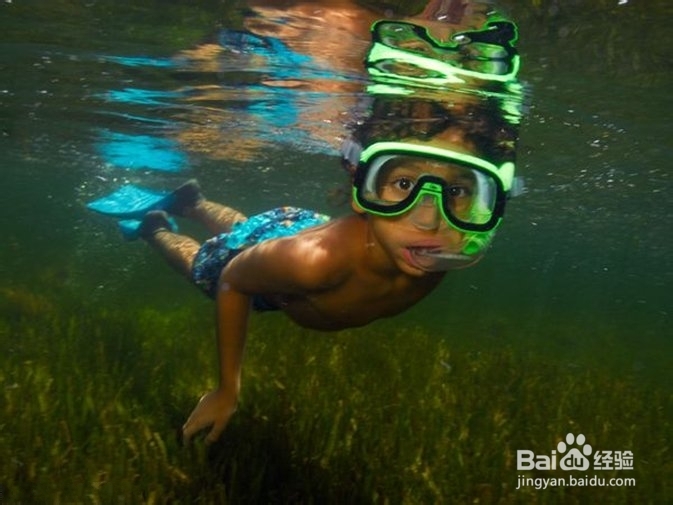 教如何你在水下拍摄有趣的照片