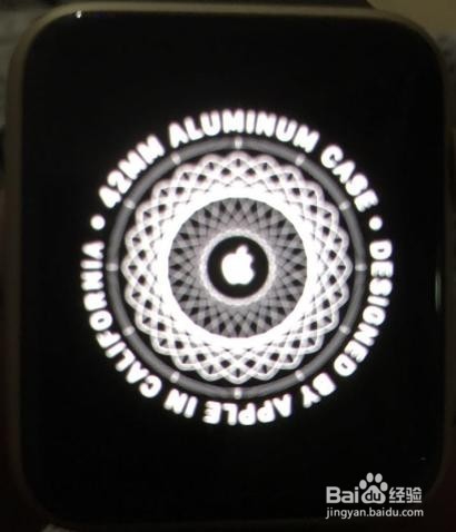 Apple Watch series拆箱赏析