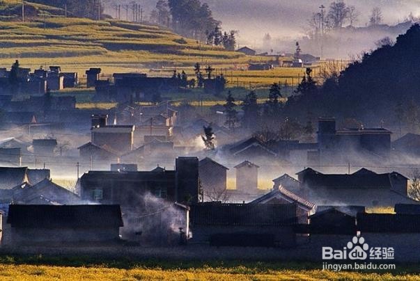 不能设立抵押的财产有哪些？