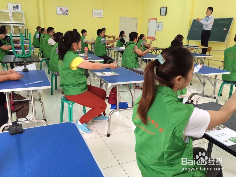 学宠物美容之后开店怎么样