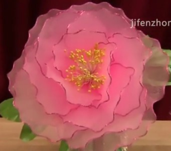 视频教你用丝袜做牡丹花!