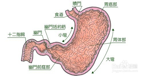 常见的胃癌的晚期症状有哪些