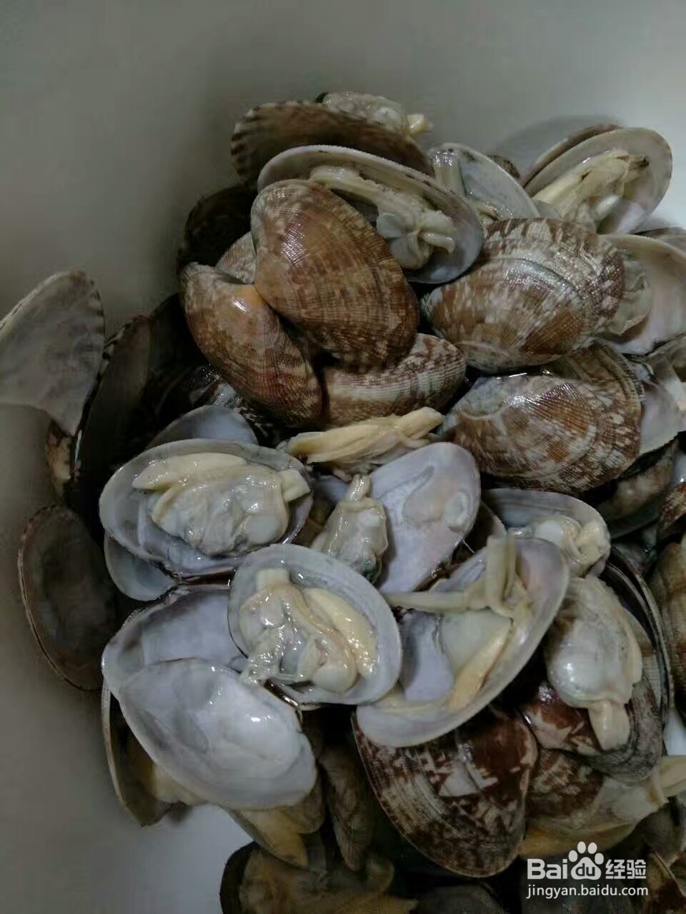 麻辣花蛤的做法