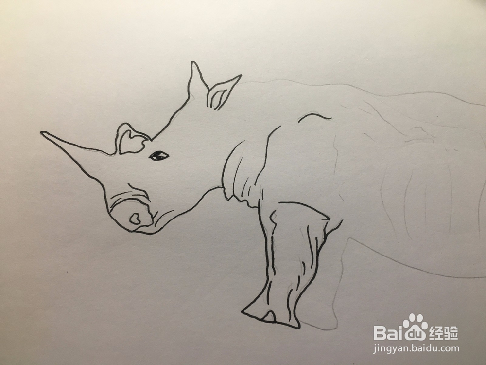 画一只犀牛 犀牛简笔画 幼儿绘画 儿童绘画