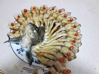 如何做孔雀开屏鱼