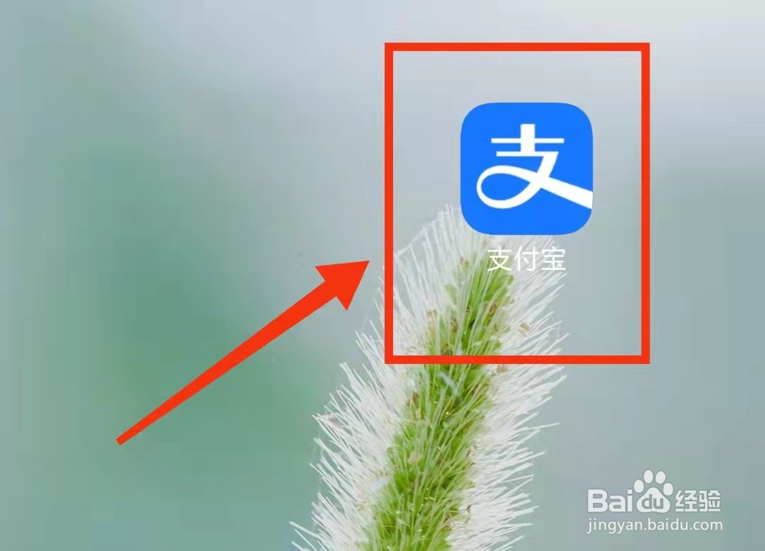 怎样关闭支付宝的“长辈模式”