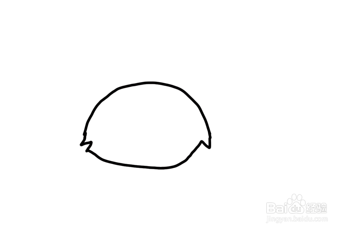 儿童简笔画入门怎么快速学绘画动物浣熊