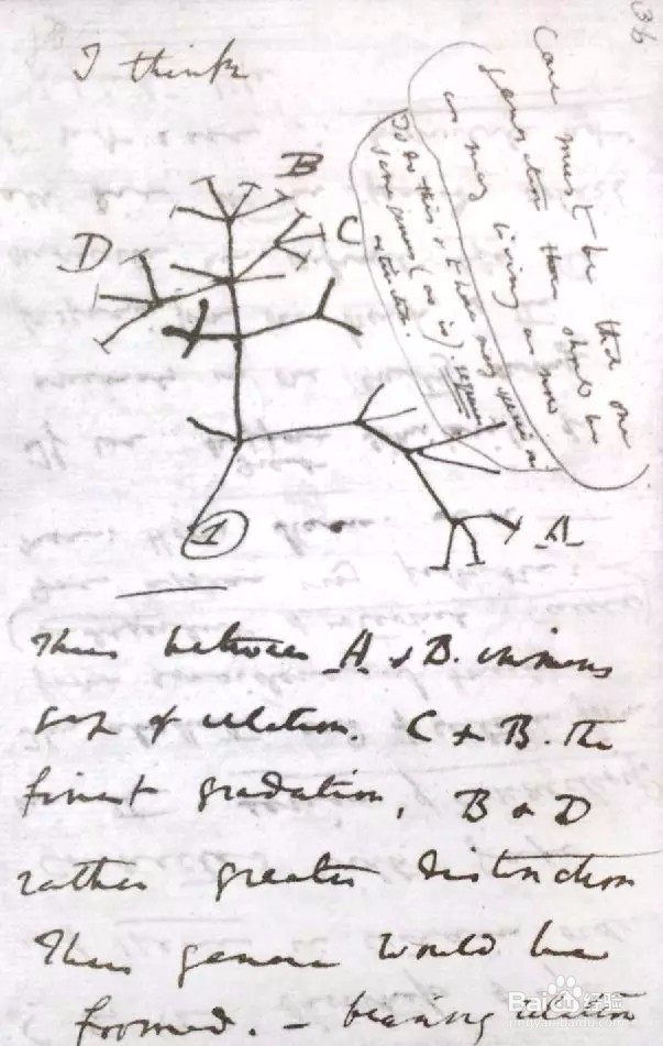 思维导图的十大要诀