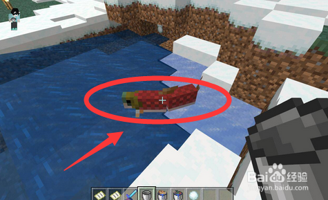 我的世界怎样捕捉鱼