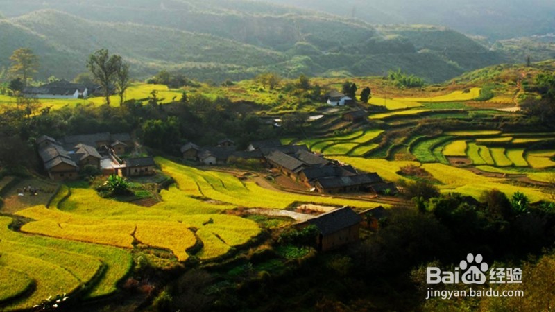 国庆过后，到长沙乡村怎样找农村人的乐子！！！