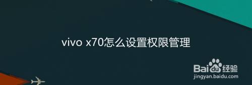 vivo x70怎么设置权限管理