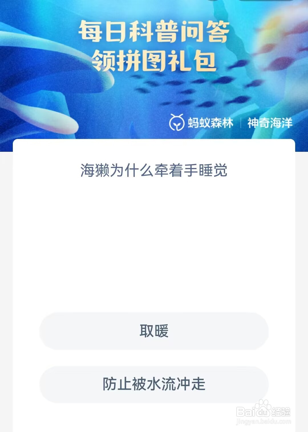 海獭为什么牵着手睡觉