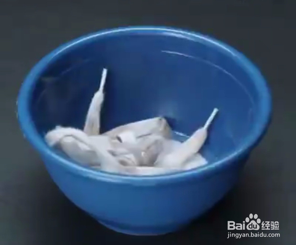 白布鞋的焕新
