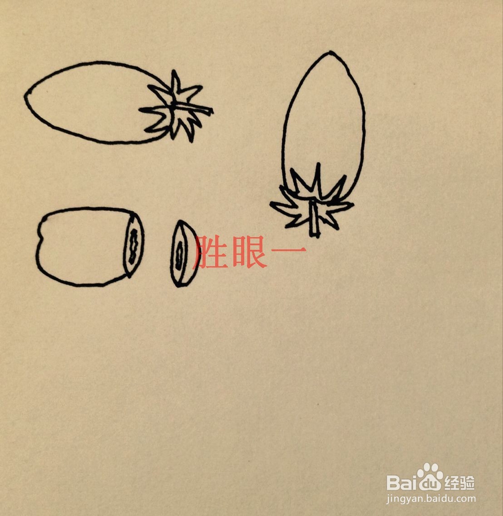 怎样画切开的小西红柿呢?