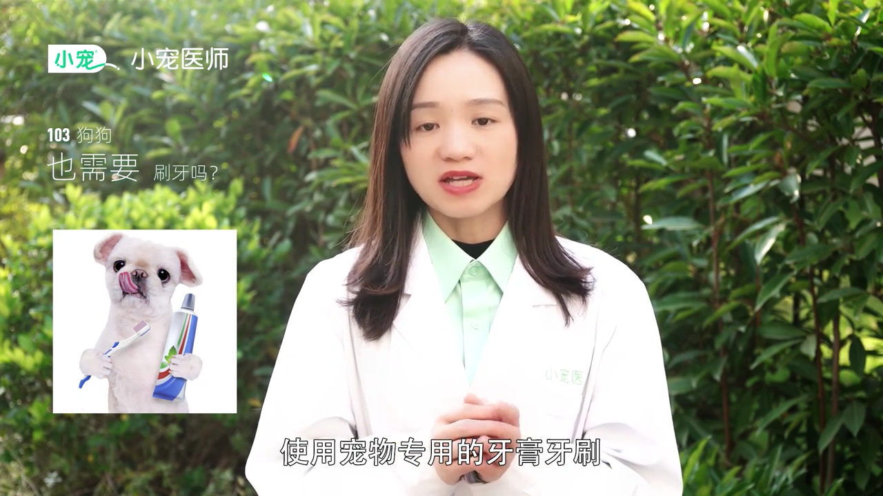 狗狗需要刷牙吗
