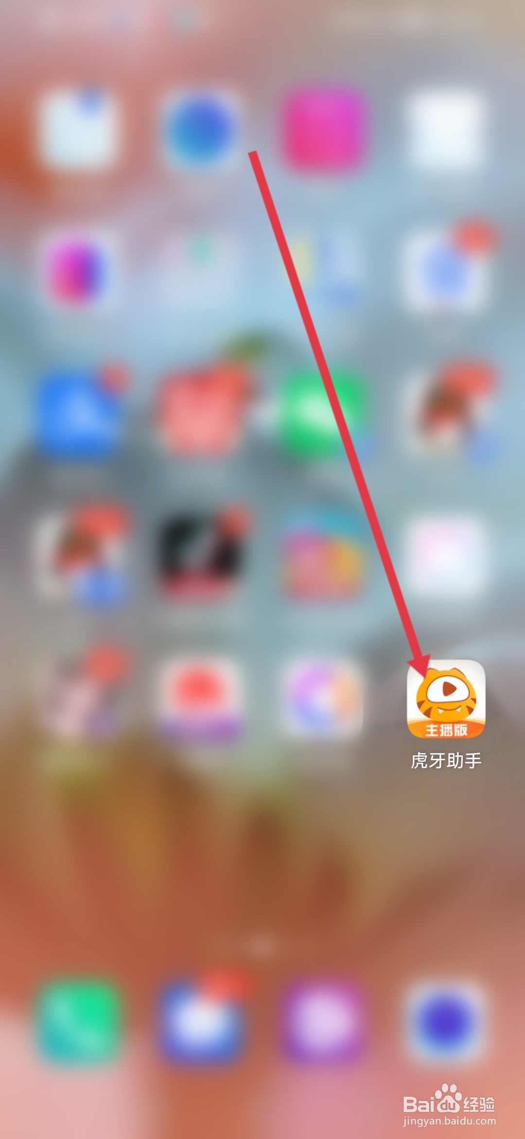 虎牙助手,秩序违规查询在哪里