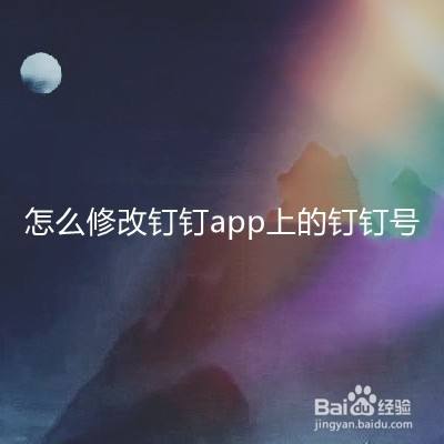 怎么修改钉钉app上的钉钉号