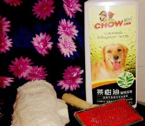 狗狗皮屑全攻略