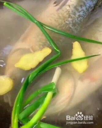 如何做红烧草鱼