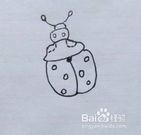 瓢虫怎么画？