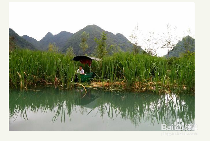 怎样知道大鱼进窝