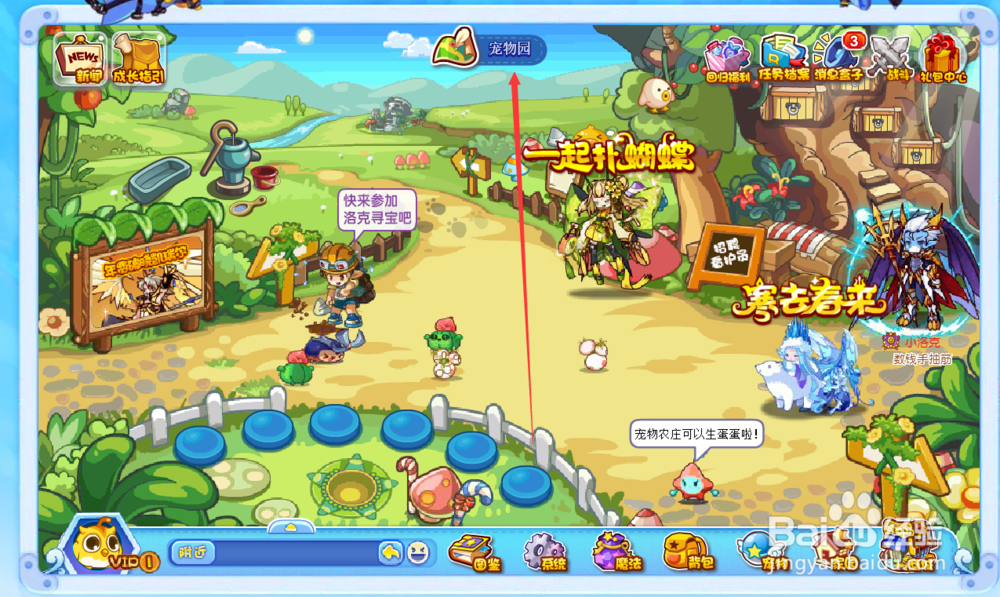 洛克王国一起扑蝴蝶活动在哪？