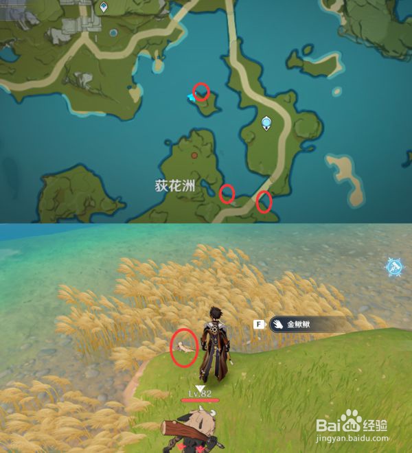 原神四方八方之网岩晶蝶落日鳅鳅金鳅鳅位置