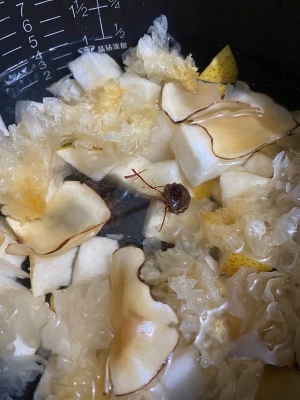 海底椰雪梨银耳桂圆汤