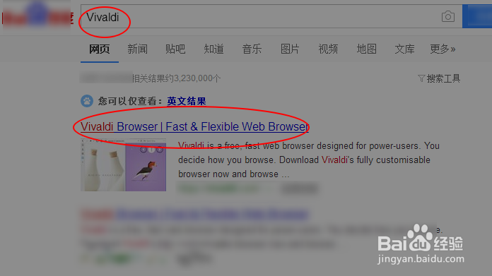 Vivaldi Web Browser 如何安装使用