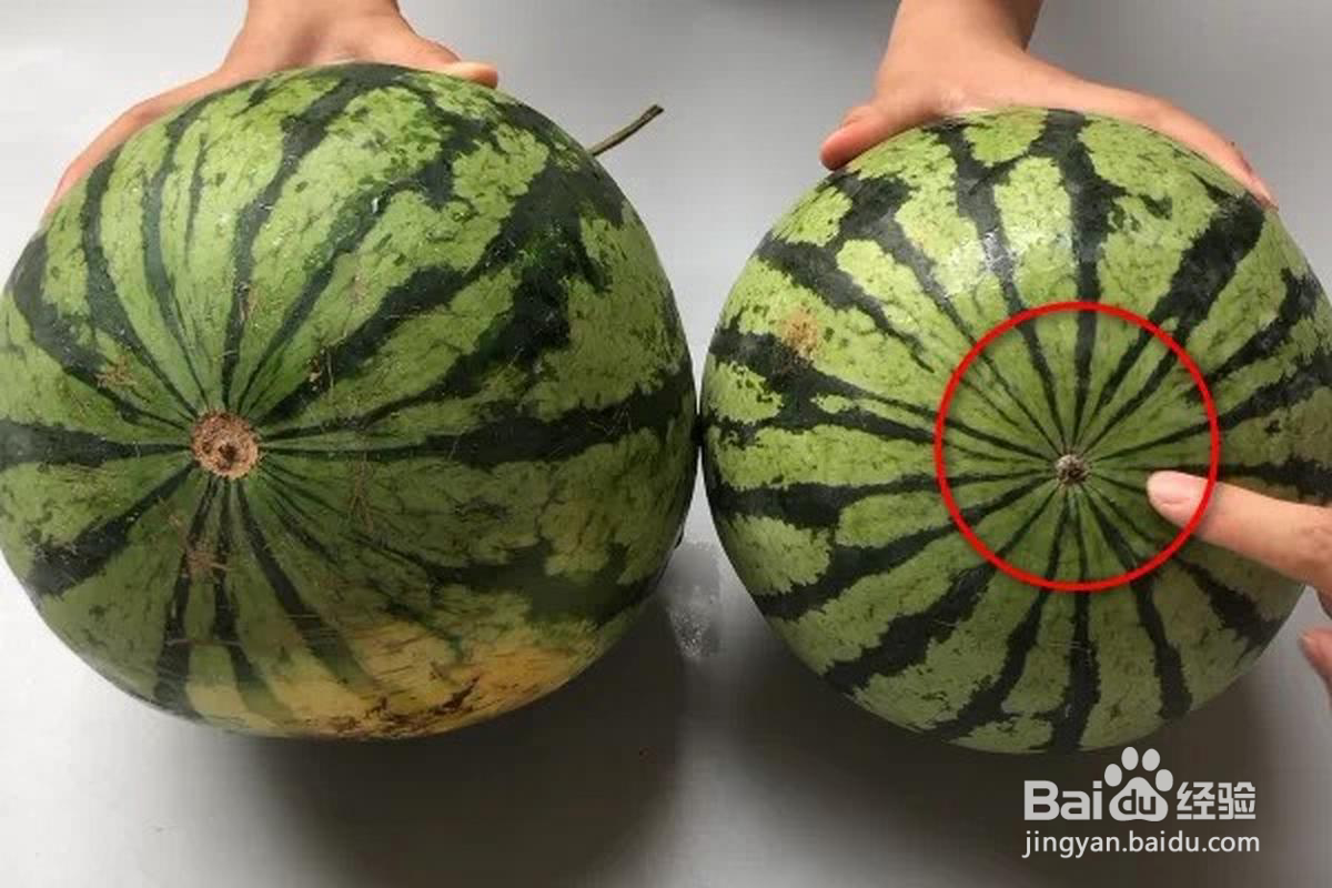 如何挑选西瓜？