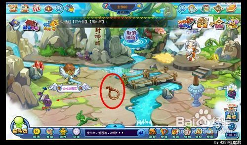 卡布西游大田鼠的食物