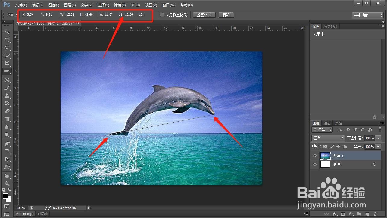 如何在PS中测量图片中的图像的长度尺寸?