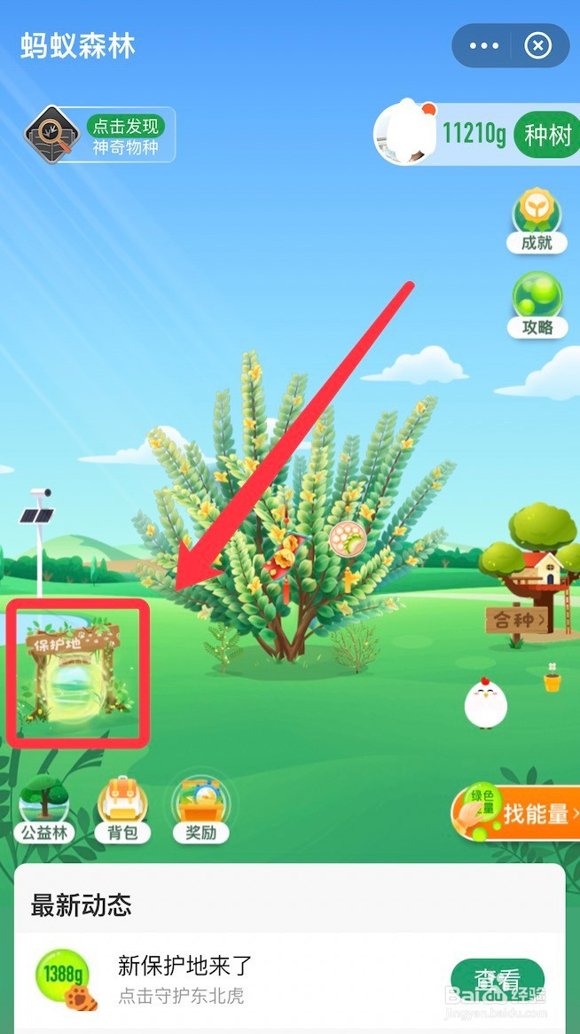 蚂蚁森林保护地动物派遣方法