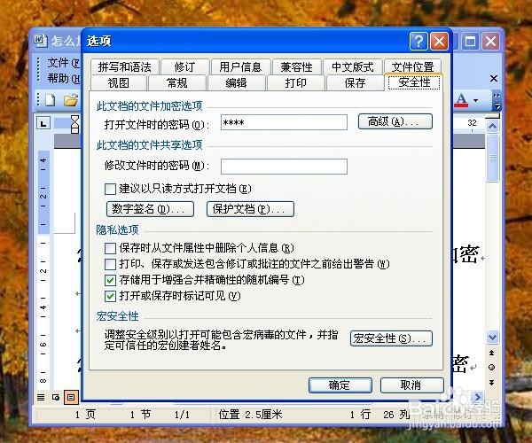 怎么给word文档设置打开密码