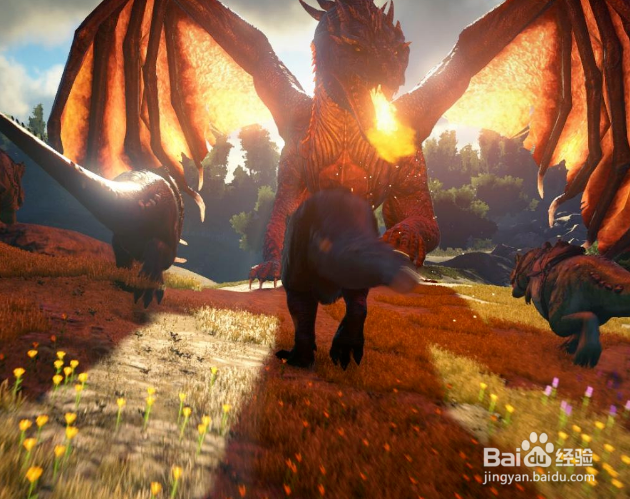 方舟飞龙怎么训？