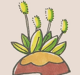 #好久不见#狗尾巴草的简笔画怎么画好看