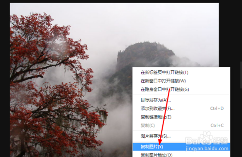 在QQ邮箱个性签名中添加自己喜欢的图片方法